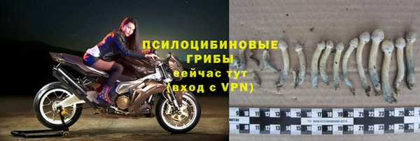 a pvp Беломорск