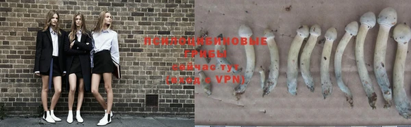 герыч Богородицк