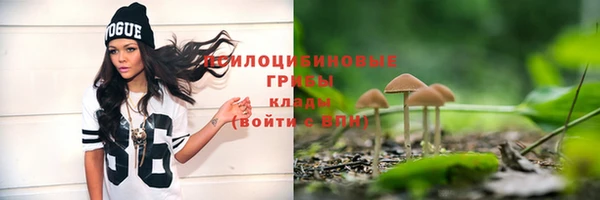 a pvp Беломорск