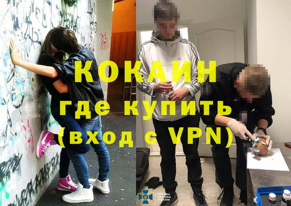 бошки Белокуриха
